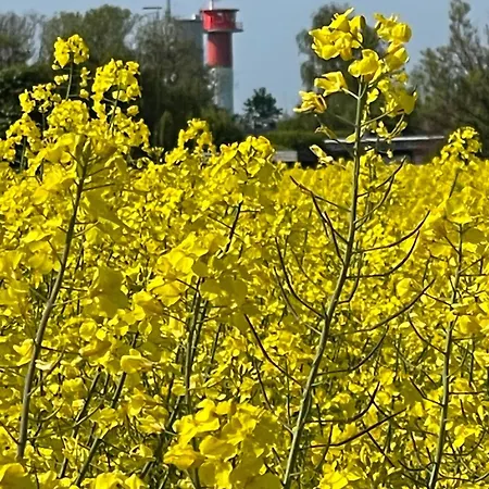 Ferienwohnung-maren *