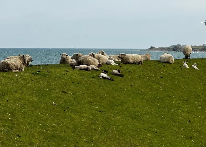Ferienwohnung-maren * Fehmarn